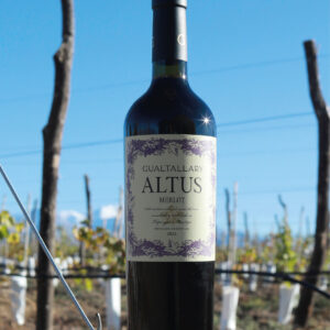 Altus Merlot