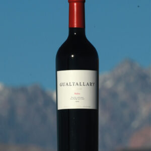 Gualtallary Malbec