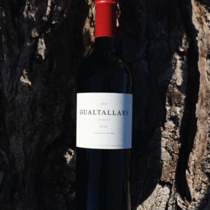 Gualtallary Merlot