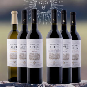 Mix Mundial (2 Bot. Malbec, 1 Cabernet Franc, 1 Cabernet Sauvignon, 1 Merlot , 1 Chardonnay)