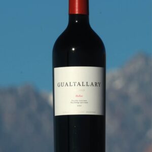 Gualtallary Malbec