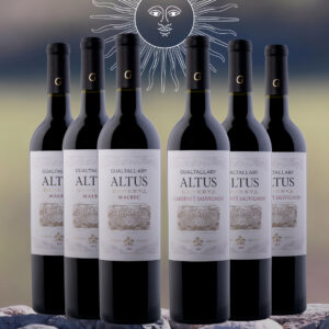 Mix Campeones (3 Reserva Malbec y 3 Reserva Cabernet Franc)