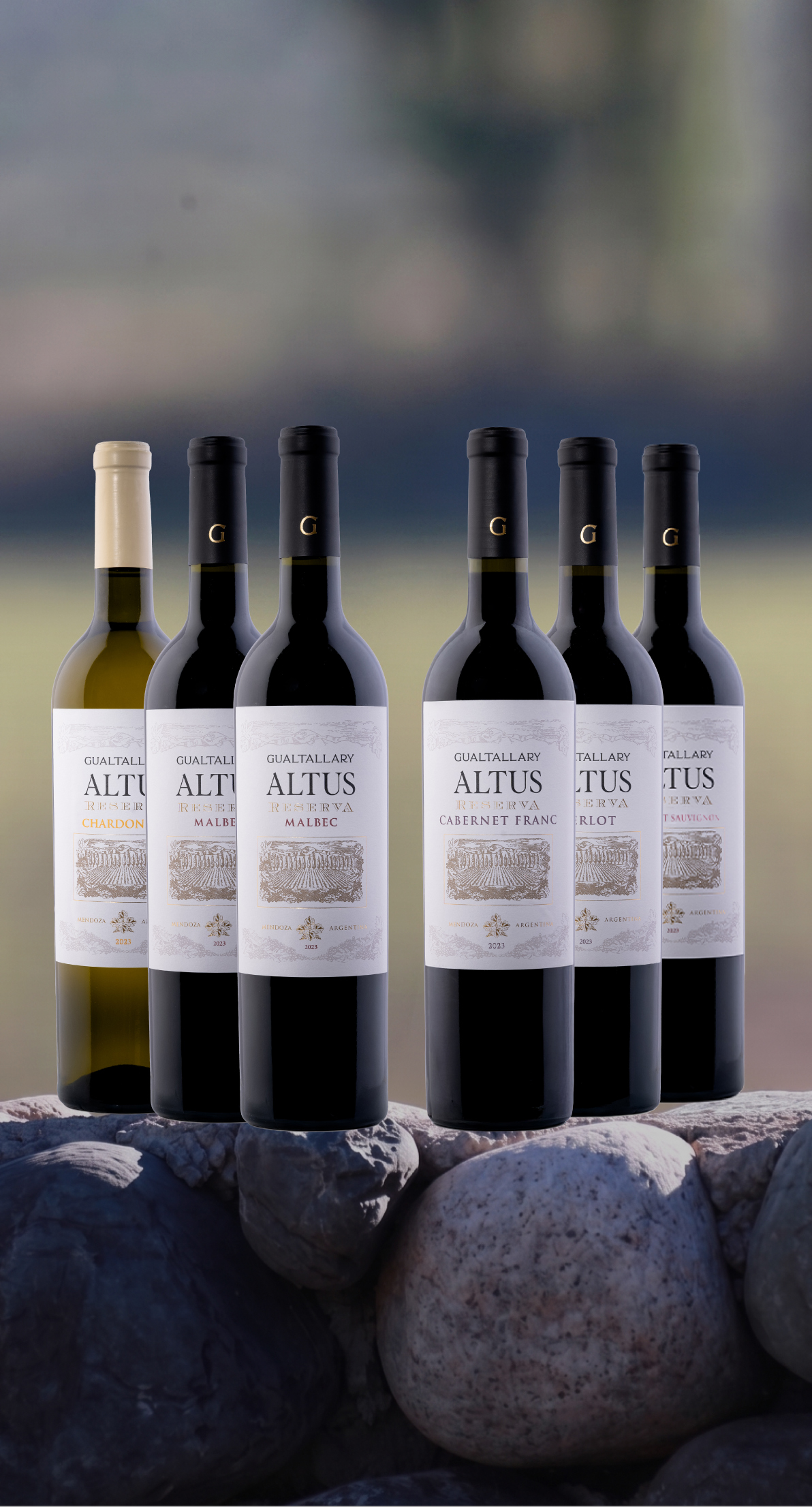 Mix Reserva (2 Bot. Malbec, 1 Cabernet Franc, 1 Cabernet Sauvignon, 1 Merlot , 1 Chardonnay)